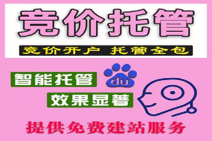 百度SEM推广经典案例，揭秘家居行业的营销策略